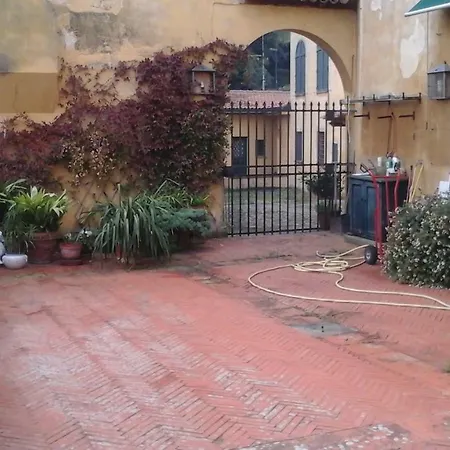 Simone 7 * Florence